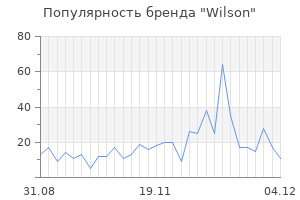Популярность бренда wilson