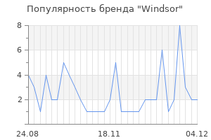 Популярность бренда windsor