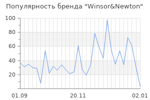 Популярность бренда winsor newton