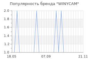 Популярность бренда WINYCAM