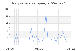 Популярность бренда winzor