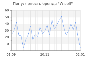 Популярность бренда wisell