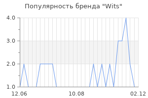 Популярность бренда wits
