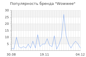 Популярность бренда wowwee