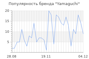 Популярность бренда yamaguchi