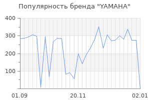 Популярность бренда yamaha