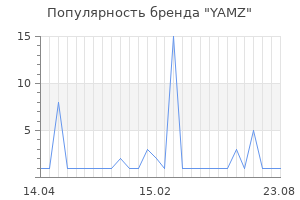 Популярность бренда YAMZ