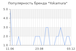 Популярность бренда yokamura