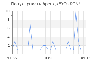 Популярность бренда youkon