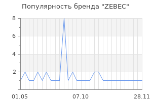 Популярность бренда ZEBEC