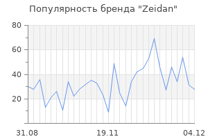 Популярность бренда zeidan