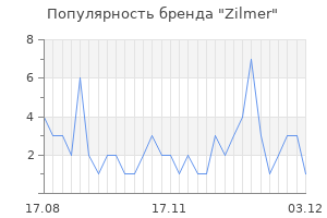 Популярность бренда zilmer