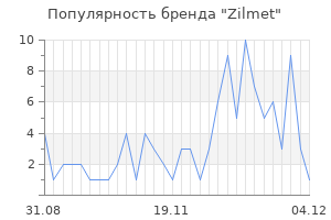 Популярность бренда Zilmet