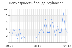 Популярность бренда zylanica